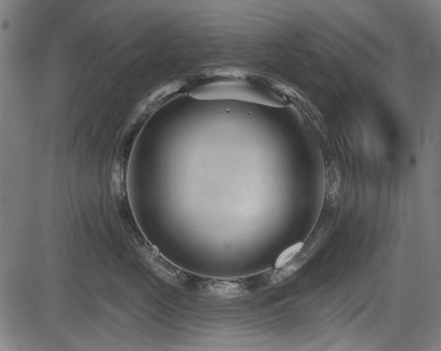 X0000083610669200702121117