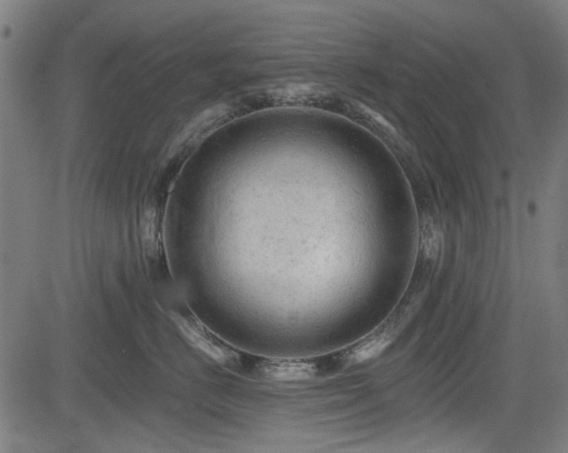 X0000083610670200702121117