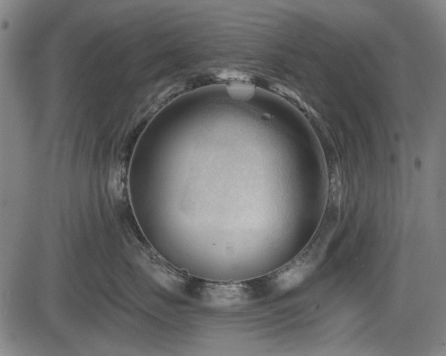 X0000083610671200702121117