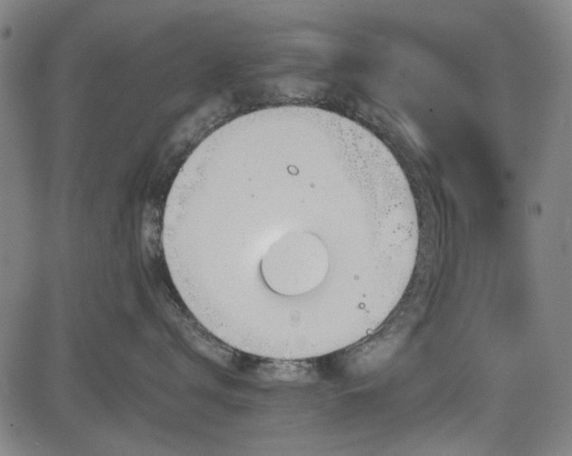 X0000083610672200702121117