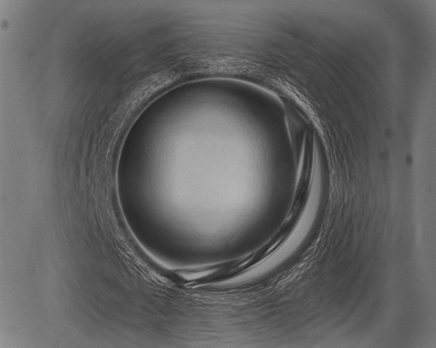 X0000083610673200702121116