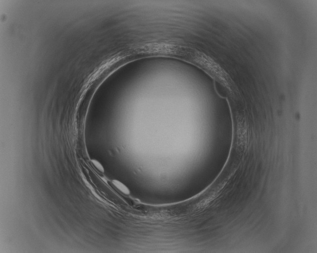 X0000083610674200702121116