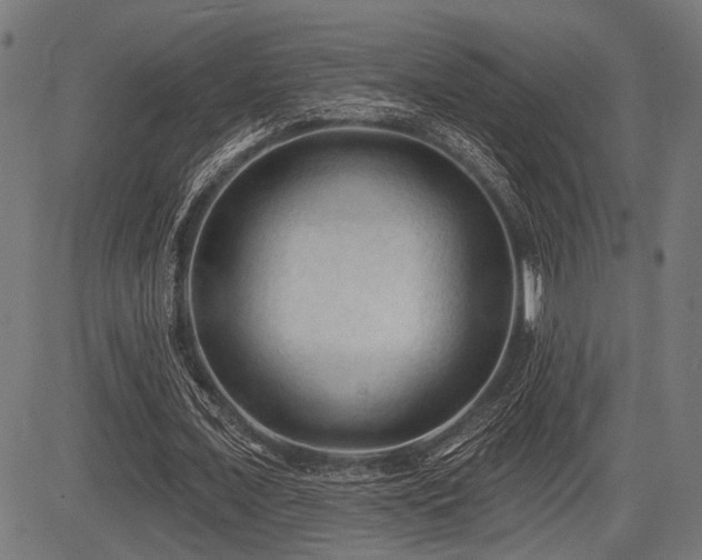 X0000083610675200702121116