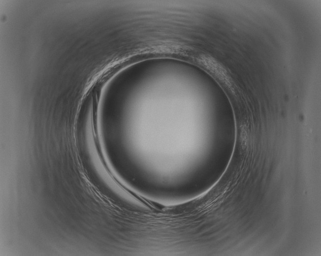 X0000083610676200702121116