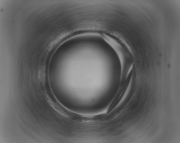 X0000083610677200702121116