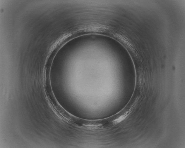 X0000083610678200702121116