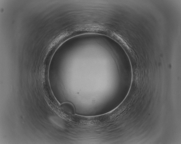 X0000083610679200702121116