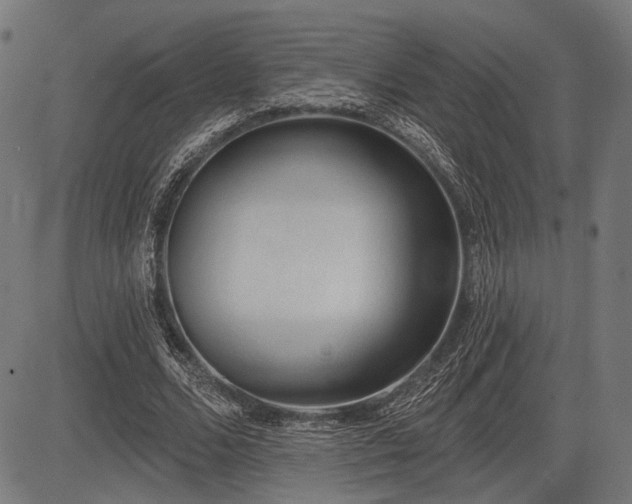 X0000083610680200702121116