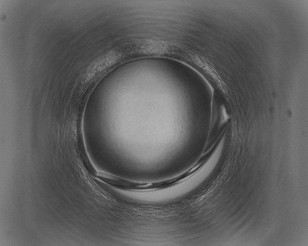 X0000083610681200702121116