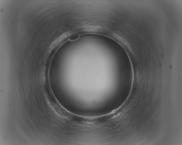 X0000083610682200702121116