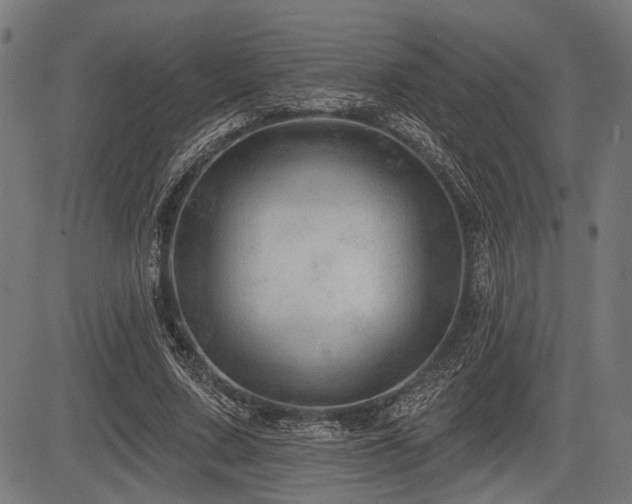 X0000083610683200702121116