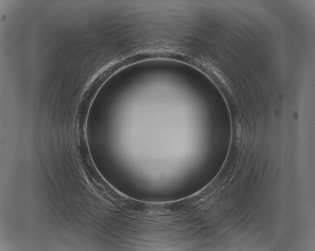 X0000083610684200702121116