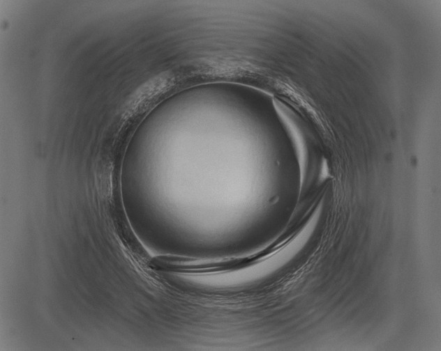 X0000083610685200702121116