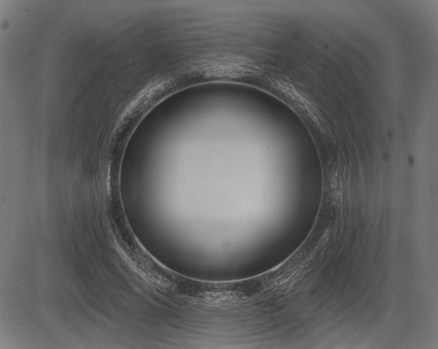 X0000083610686200702121116