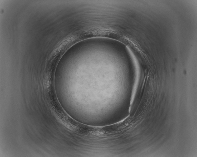 X0000083610687200702121116