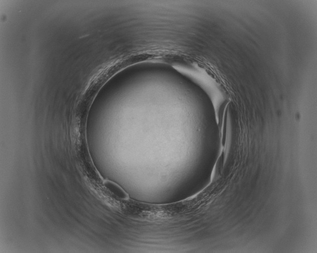 X0000083610688200702121116