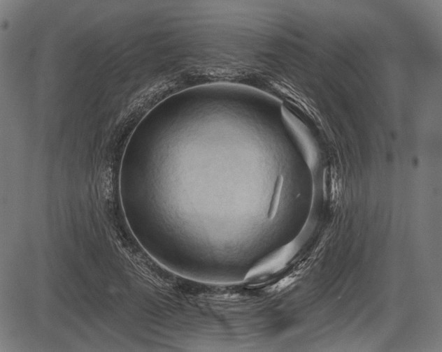 X0000083610689200702121116