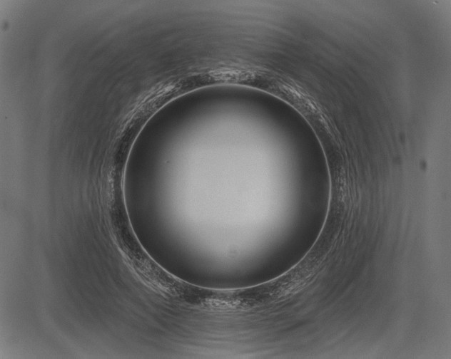 X0000083610690200702121116