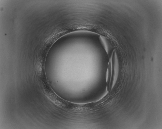 X0000083610691200702121115