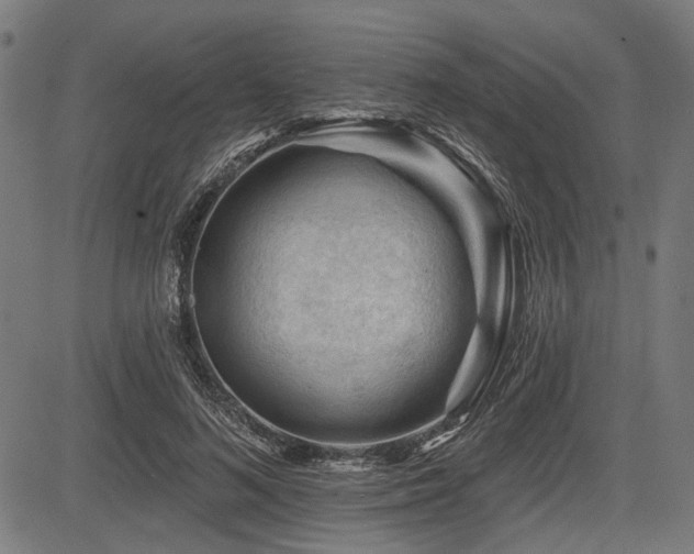 X0000083610692200702121115