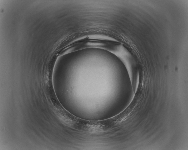 X0000083610693200702121115