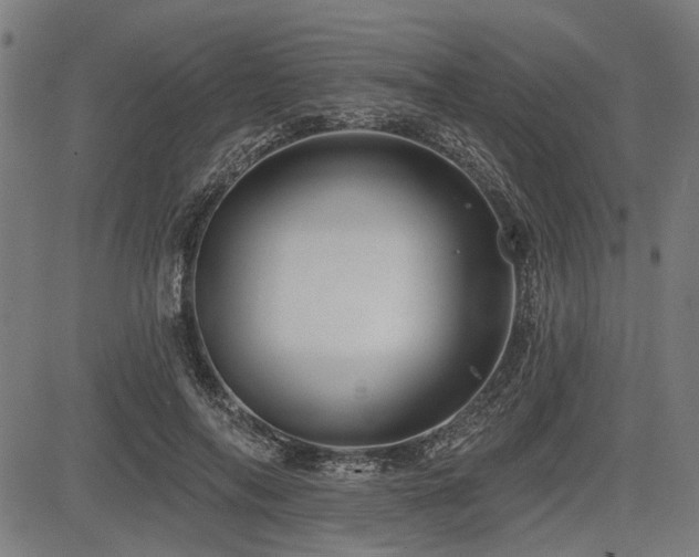 X0000083610694200702121115