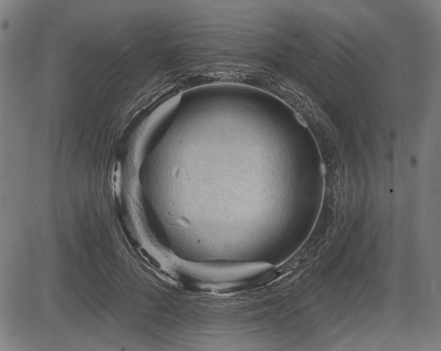 X0000083610696200702121115