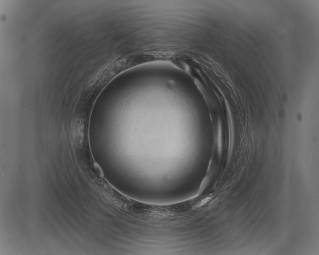 X0000083610697200702121115