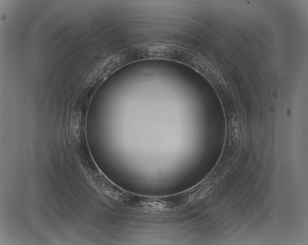 X0000083610698200702121115