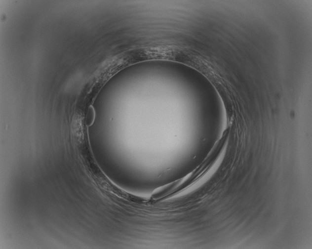 X0000083610699200702121115