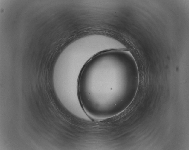 X0000083610700200702121115