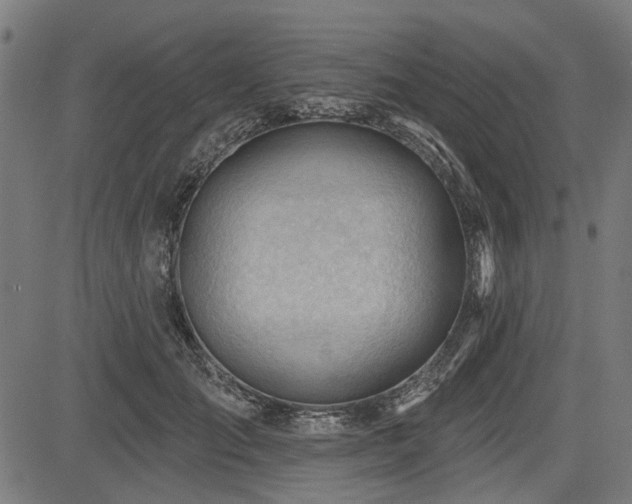 X0000083610701200702121115