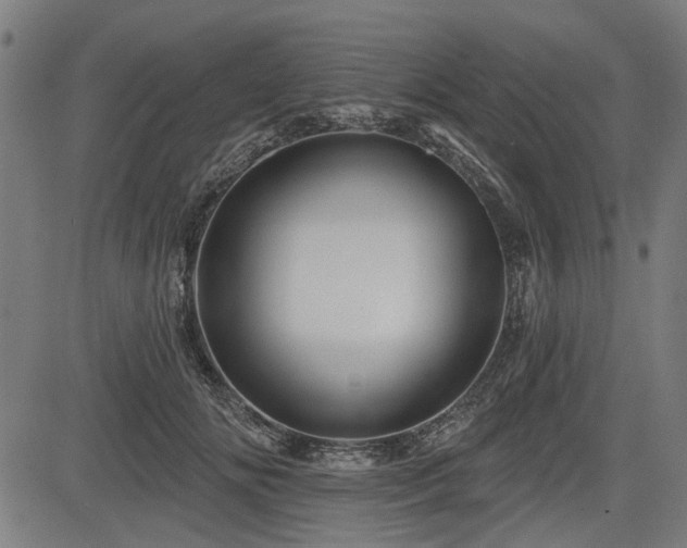 X0000083610702200702121115