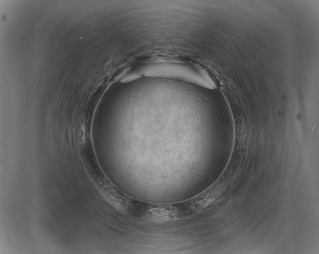 X0000083610703200702121115