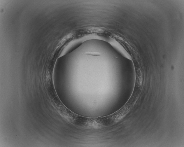 X0000083610704200702121115