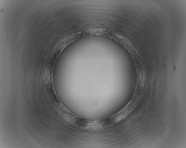 X0000083610705200702121115