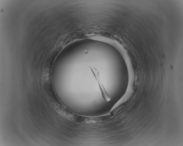 X0000083610706200702121115