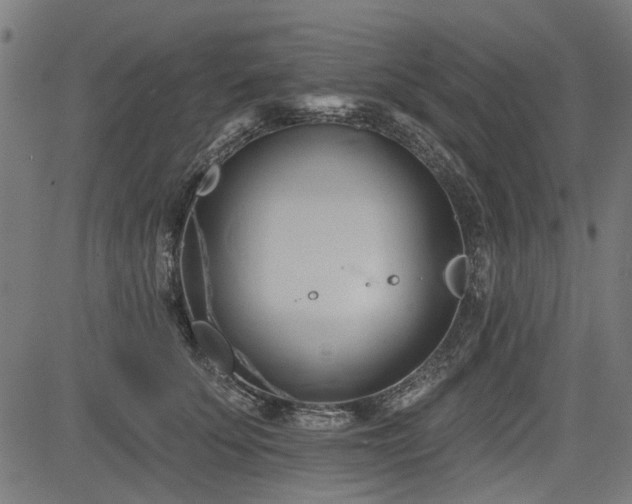 X0000083610707200702121115