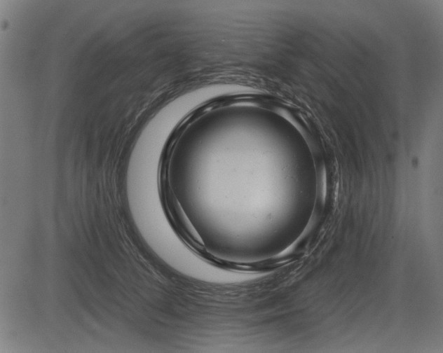 X0000083610708200702121115