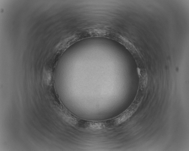 X0000083610709200702121115