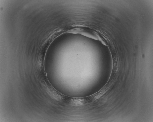 X0000083610710200702121115