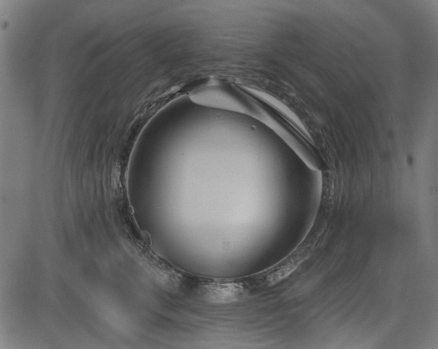 X0000083610711200702121115