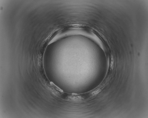 X0000083610712200702121115