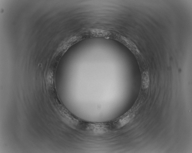 X0000083610713200702121115