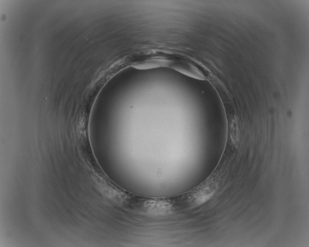 X0000083610714200702121115