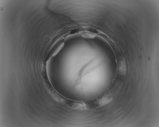 X0000083610715200702121115