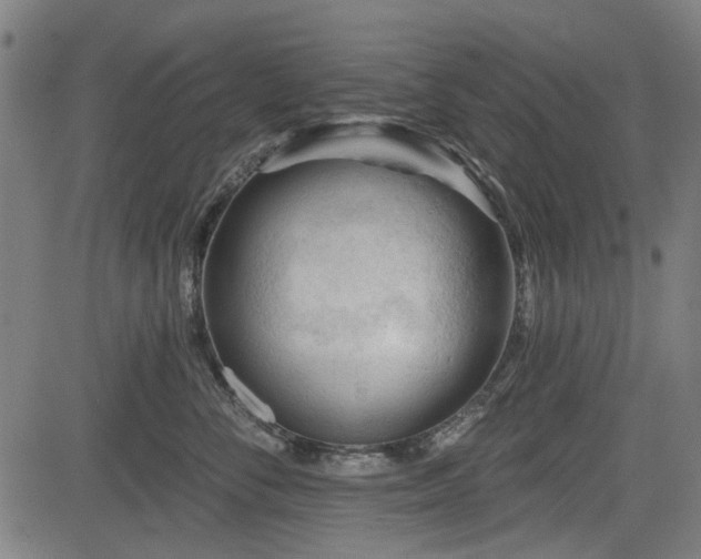 X0000083610716200702121115