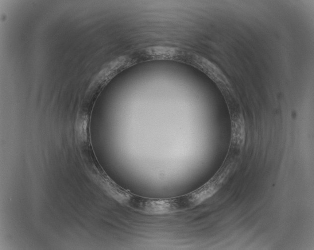 X0000083610717200702121115