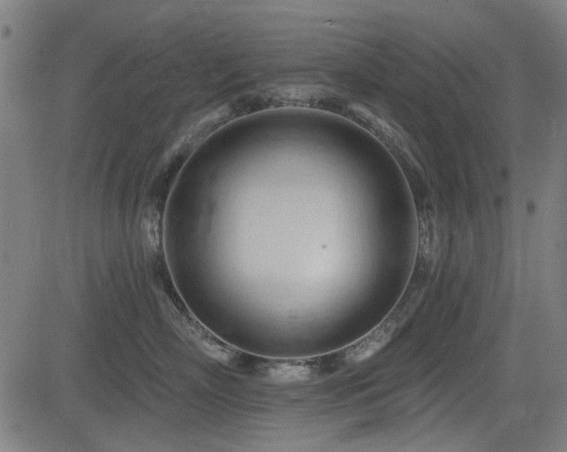 X0000083610718200702121115