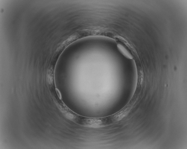 X0000083610719200702121115